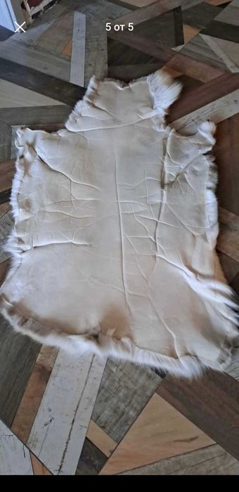 Кожа от северен елен