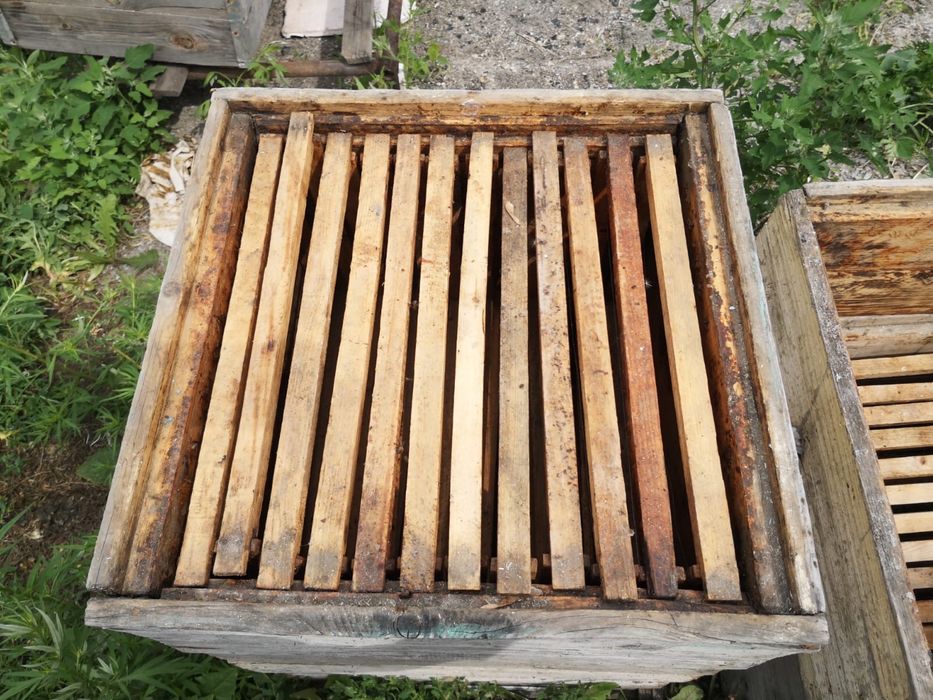 Пчелодомики магазины с рамками