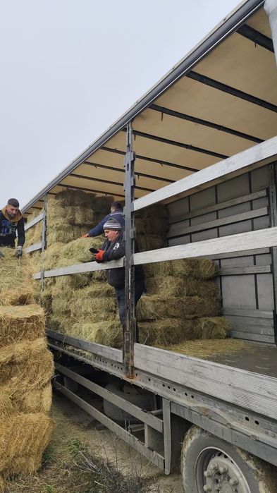 Baloti fan.Drept.min.500.Rotunzi lucerna min.40.Transport inclus>RO