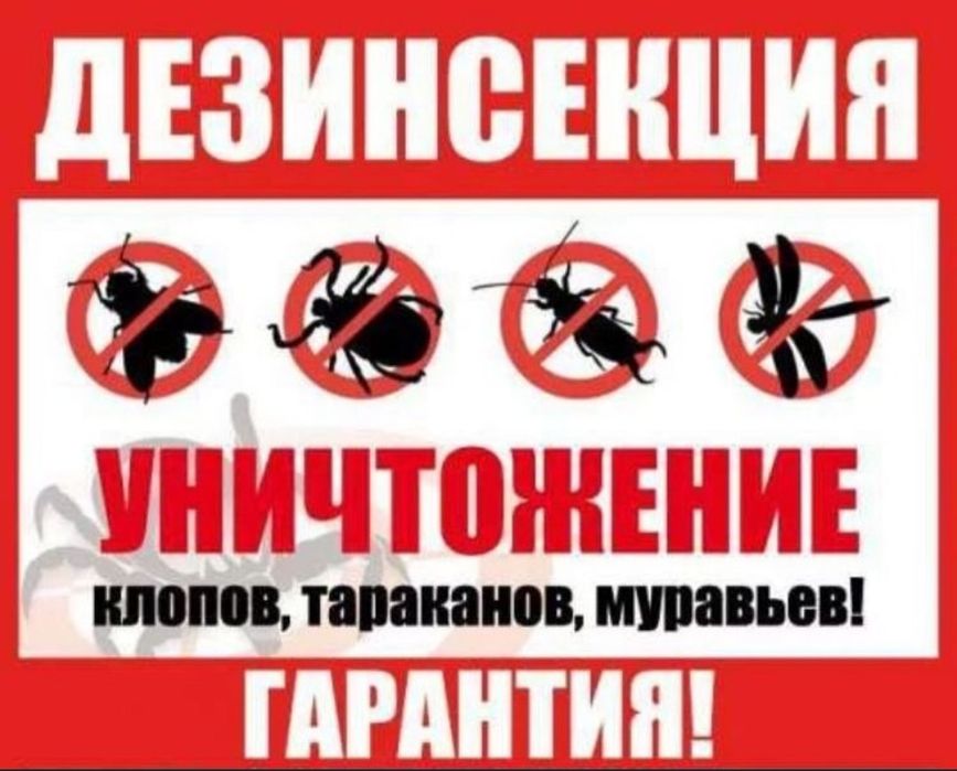 СЭС! Дезинсекция со скидкой в Уральске. Гарантия.