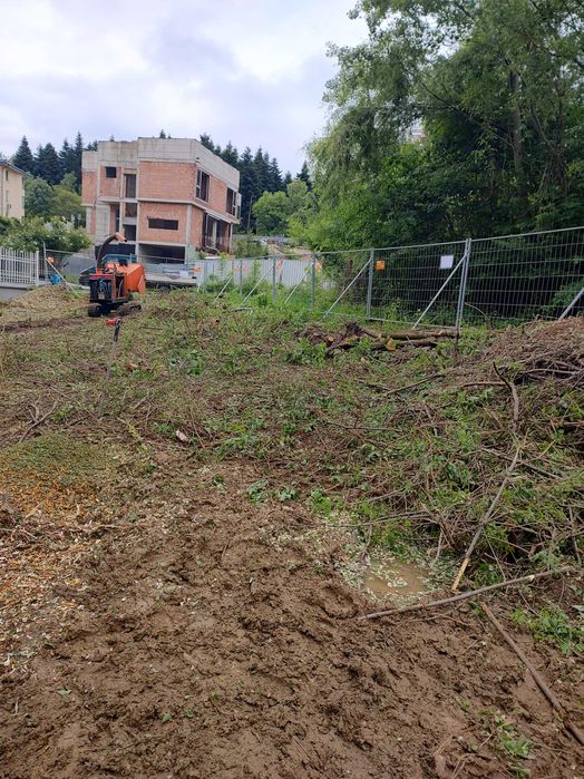Рязане на Опасни дървета  чистене на дворове и парцели