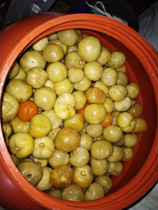 Gogonele murate 5leikg.