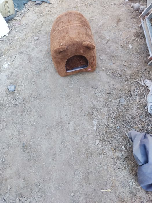 Дом для кошки без платно
