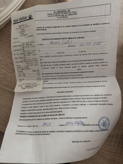 Vand Peruș mascult cu colivie si accesorii