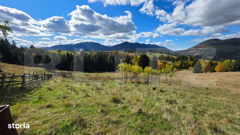 Teren 1,5 hectare - la Piatra Fantanele