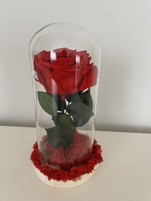 Trandafir criogenat cluj