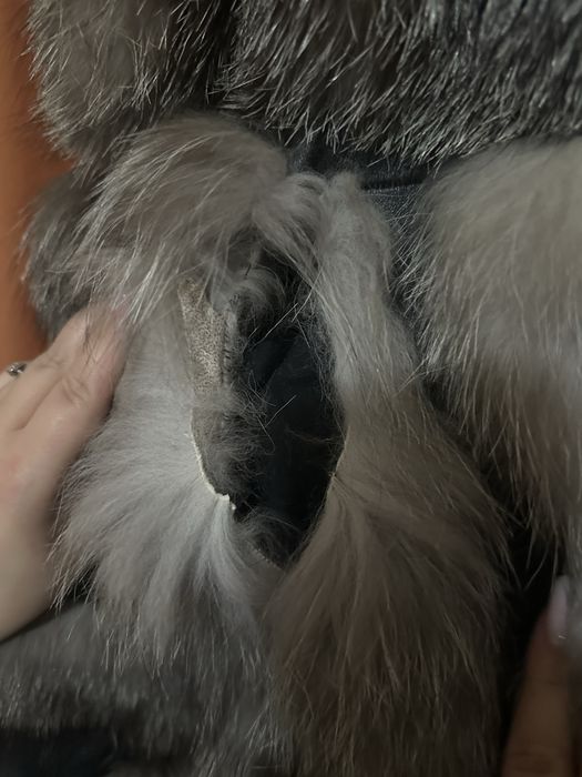 Haina de blana naturala - Vulpe argintie