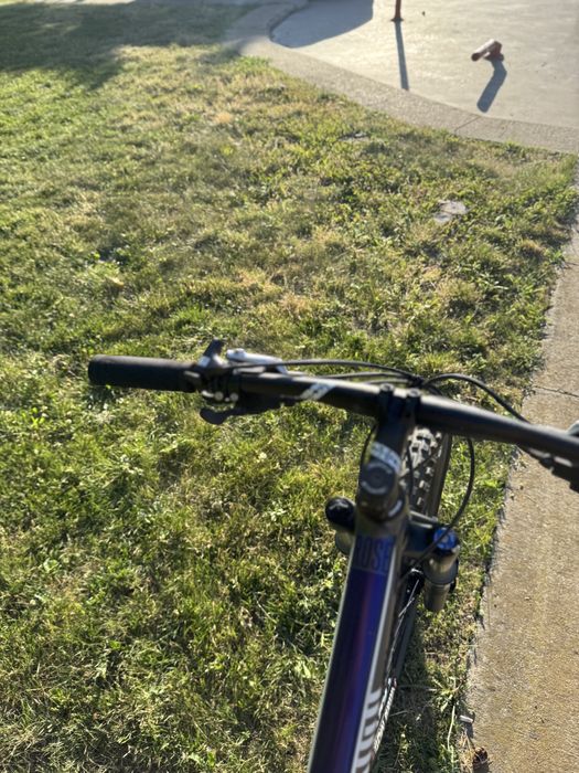 Rose Cadru M 27.5 inch