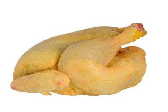 Pui carne de curte