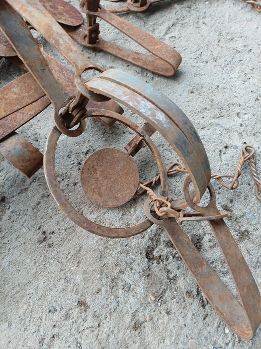 Продам капканы для ловли хищников.