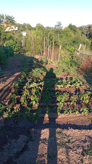 Продава се Къща в Царево - 100 кв.м за 880 €/кв.м - Снимка #3