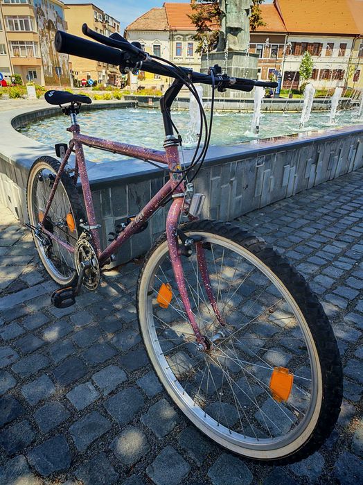 Bicicleta Mtb retro vintage pro line