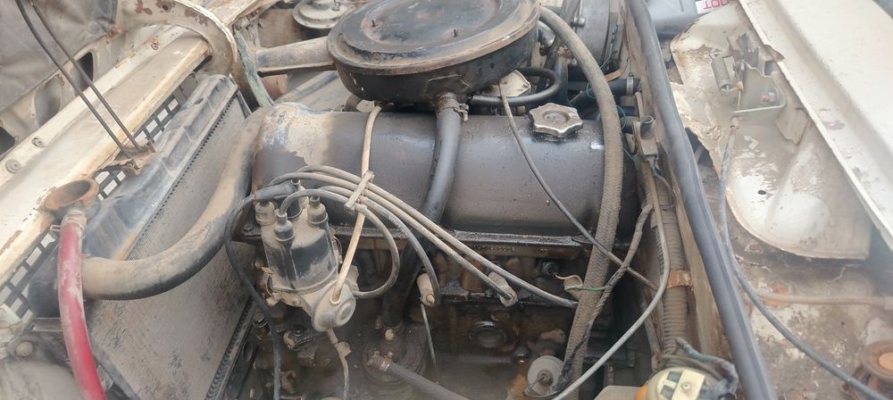 Moshin sotiladigan bez dakment