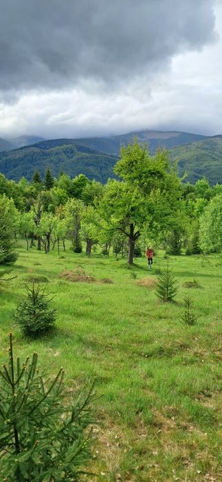 Teren intravilan