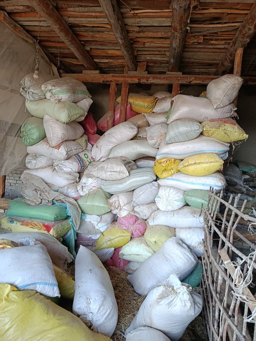 Apilka sotiladi plaramaniki