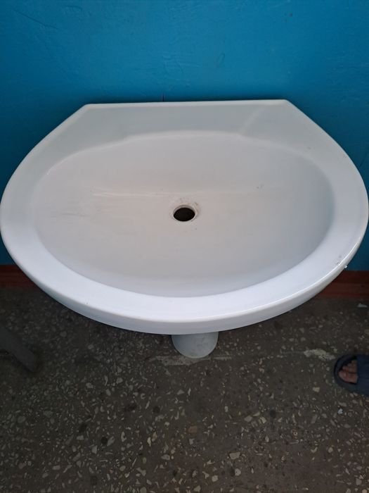 Раковина тюльпан