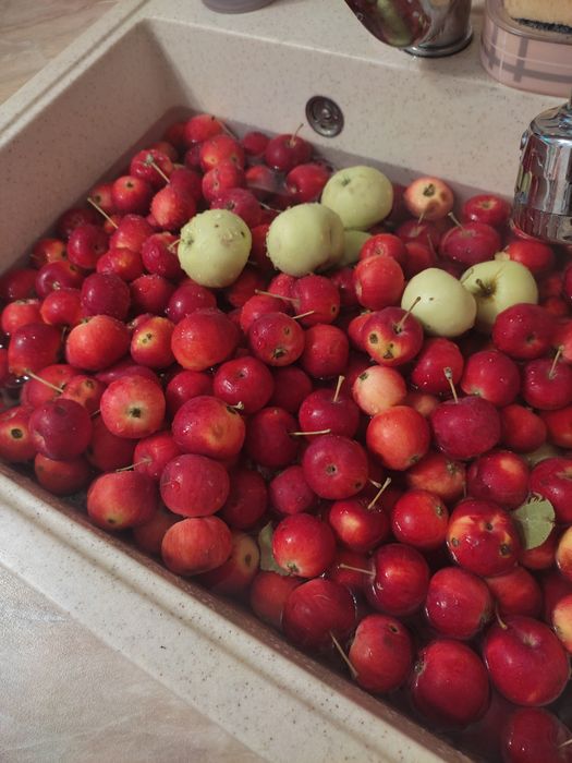 Продаю дачу в Михайловке, 12 соток