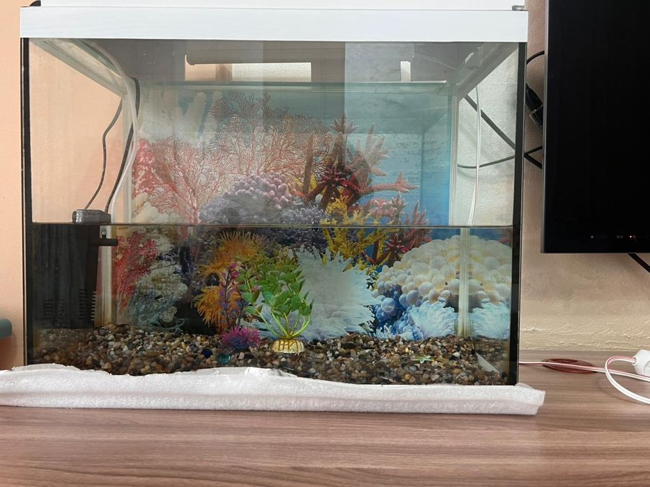 Продадется аквариум