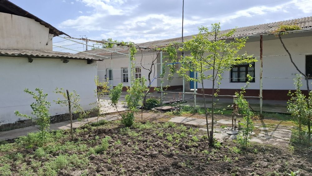 Orta chirchiq tumani  Darxon maxalasi 157uy