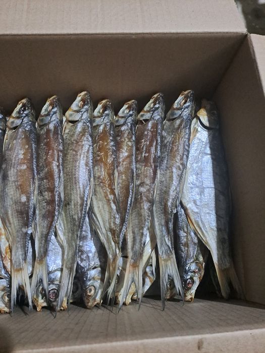 Рыбец вяленый рыба малосольный