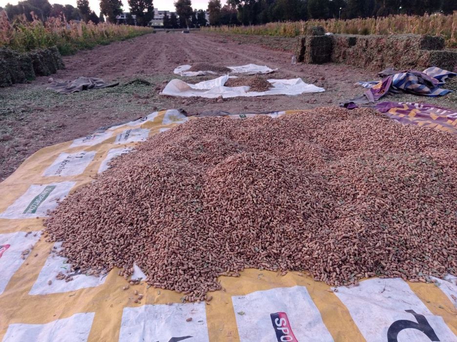 Yeryong'oq presi sotiladi kelishamiz