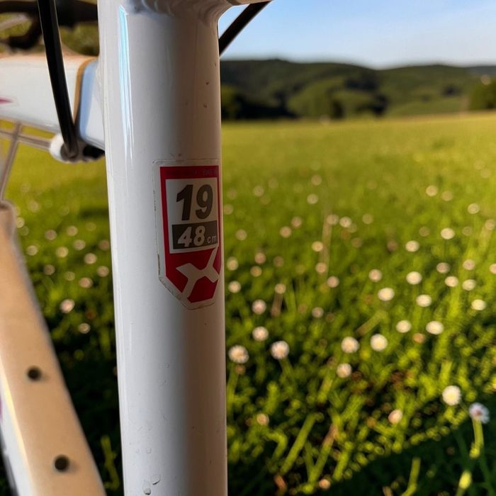 Bicicleta X-FACT Mountain Bike