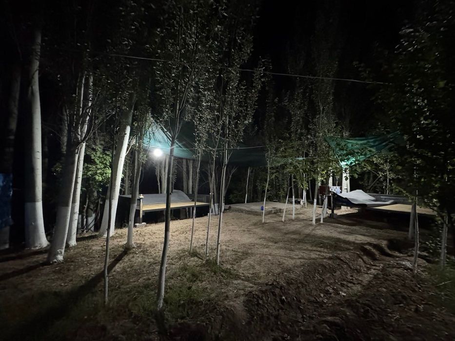 Миракидан 12 сутогли дача сотилади