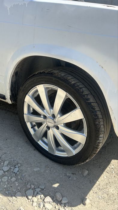 Ромашка торус воссен blak edition