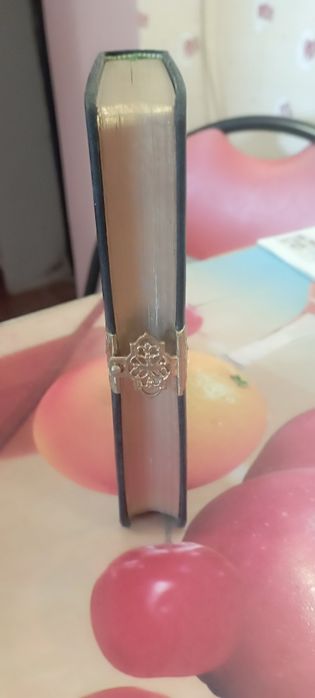 Vând biblie nemteasca