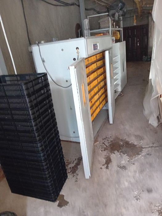 Vînd sau schimb Incubator 2200 ouă de găină profesional + eclozor