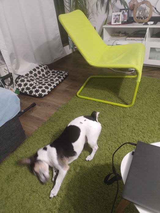 Кресло  IKEA.  LOCKSTA lounge