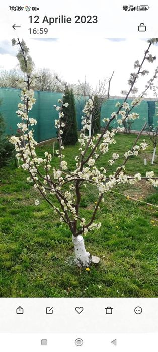 Casă de vînzare la 10 km de Ploiești.