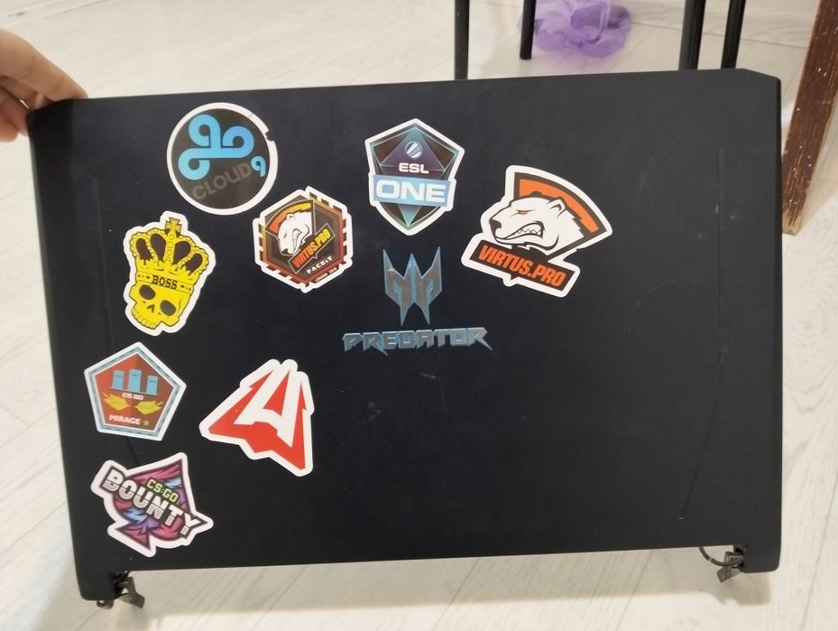 Экран для predator helios 500 PH517-61