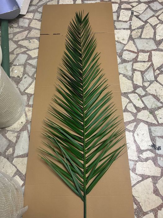 Изкуствена палма