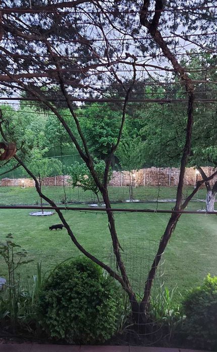 Продава се Къща в с. Големо Бучино, Област Перник - 220 кв.м за 2046 €/кв.м - Снимка #9