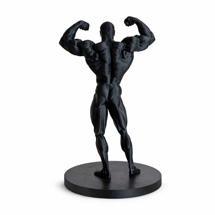 Mr.Olympia Arnold, Lee Haney, Dorian Yates, Ronnie Coleman, Jay Cutler