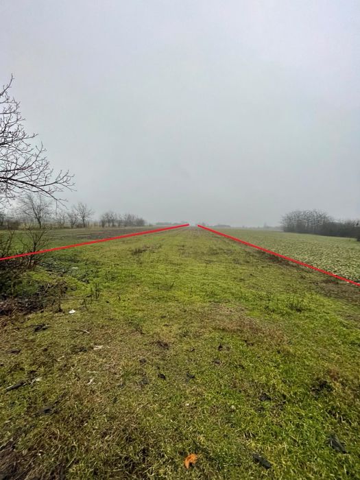 Teren intravilan + extravilan