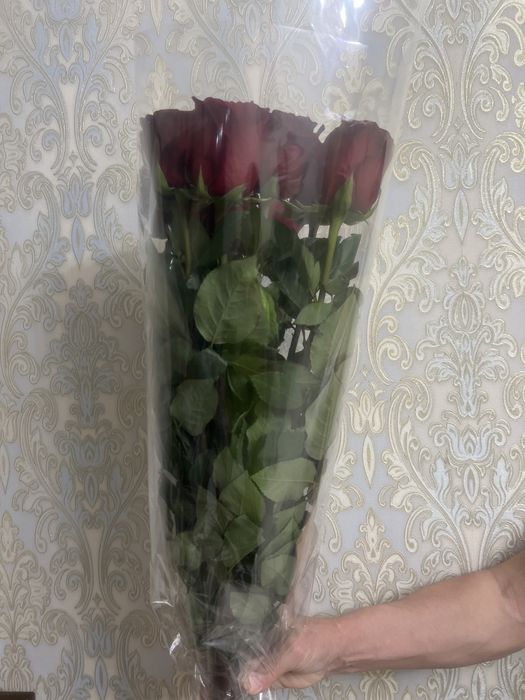 роскошные красные розы