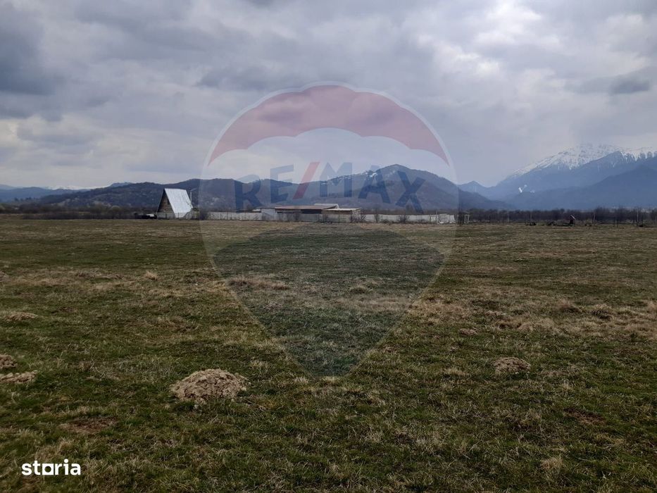 Teren 10,000mp Rasnov / Drumul Panicel
