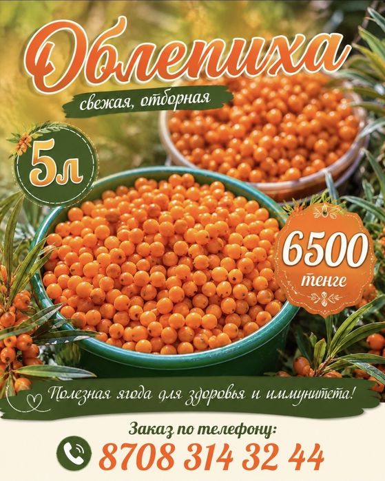 Продам облепиху.