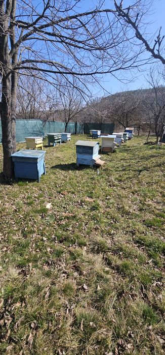 Пчелни кошери 17 броя