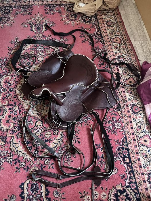 Ер-тоқым жүгенімен сатылады