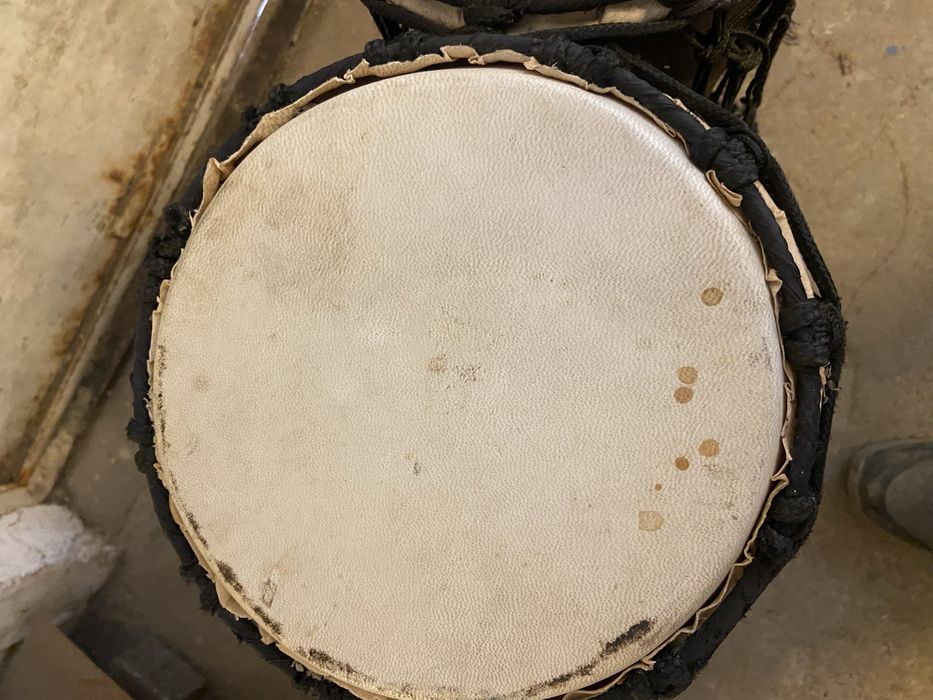 Тарамбука африканска