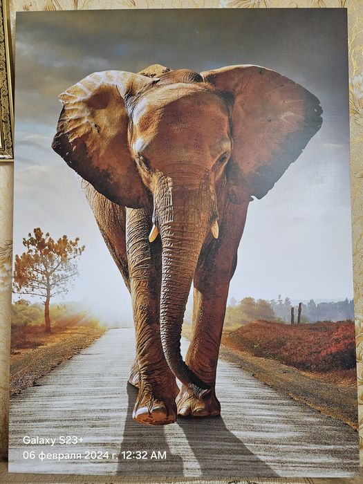 Продам Картины...