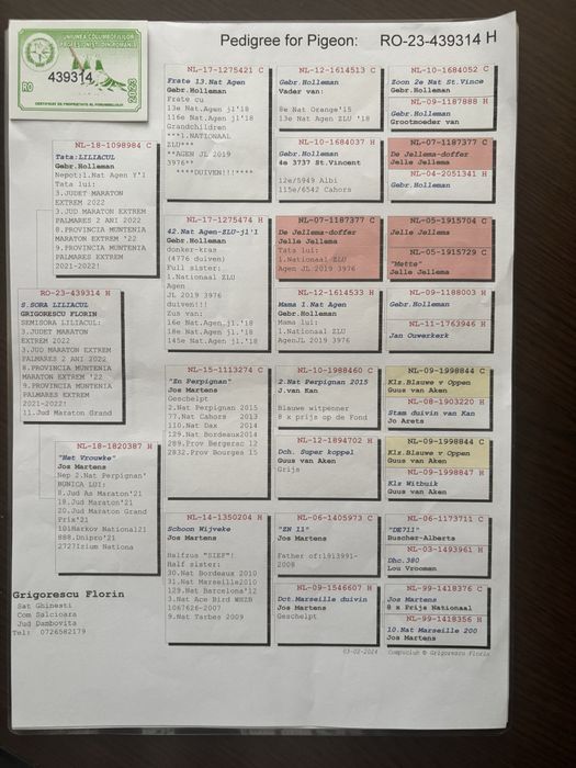 Porumbei fond maraton