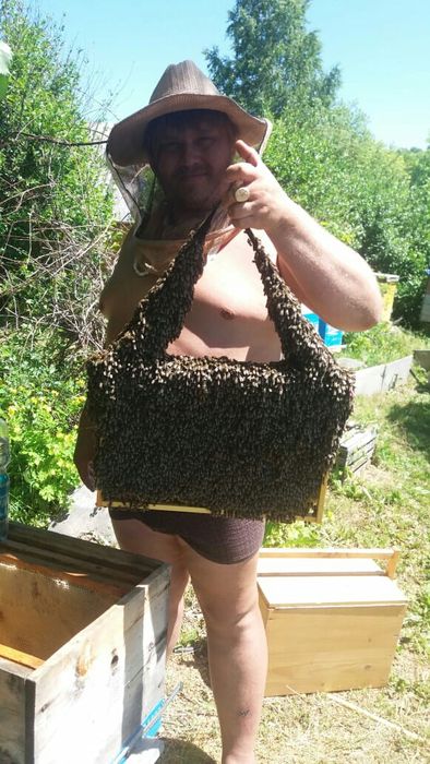 Мёд качество супер с собственной пасеки.