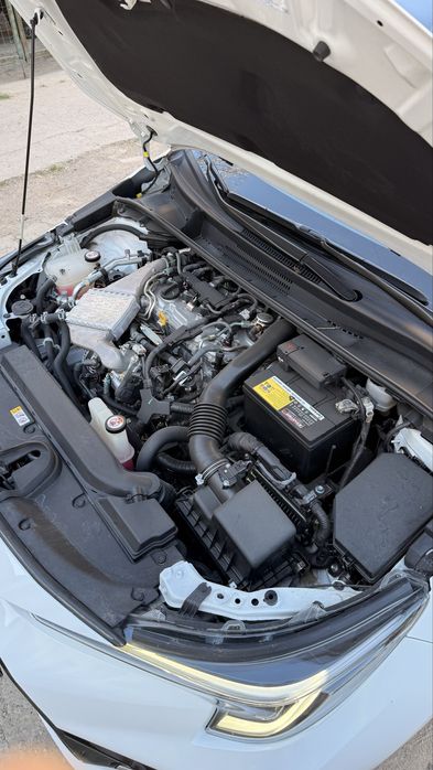 •Toyota Levin 2023•