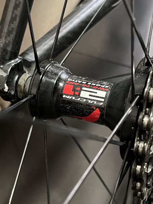 Cursiera Giant TCR hybrid