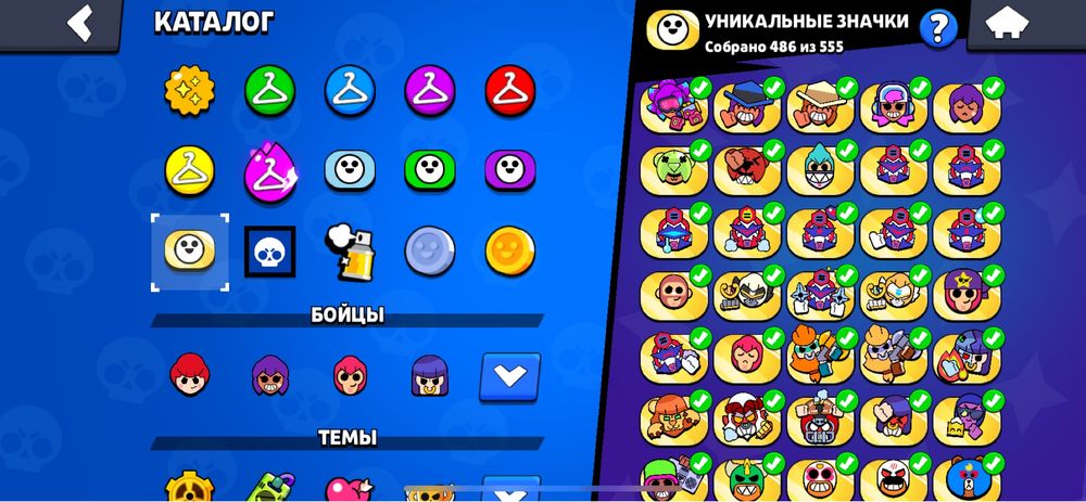 Brawl_Stars 2020года 1 хоз