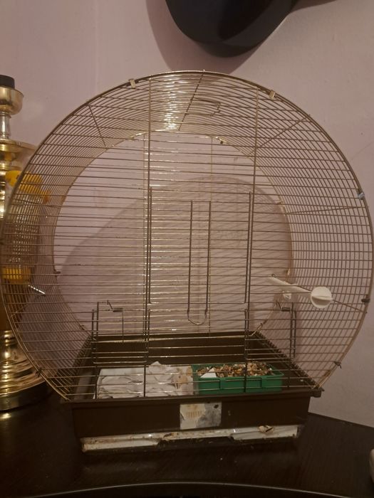 Продаётся Клетка с крысой